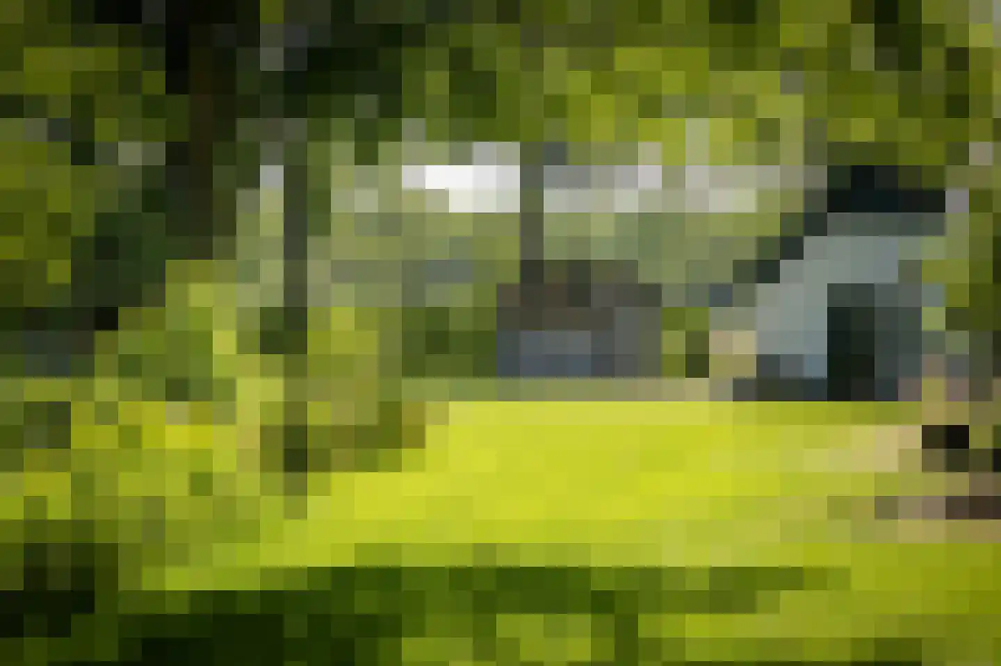 Marsdijk 4 Hellendoorn thumbnail 32