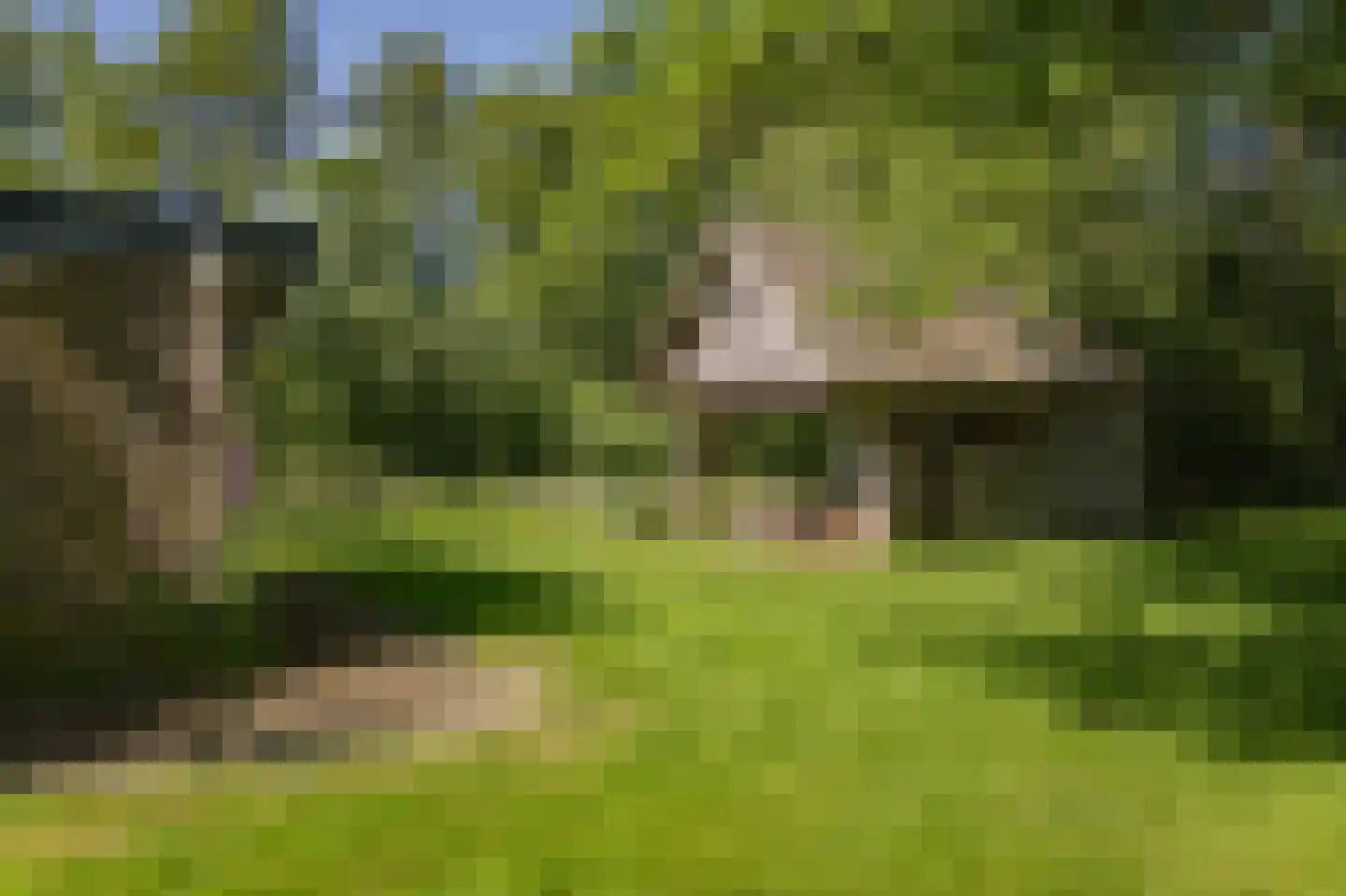 Marsdijk 4 Hellendoorn thumbnail 33