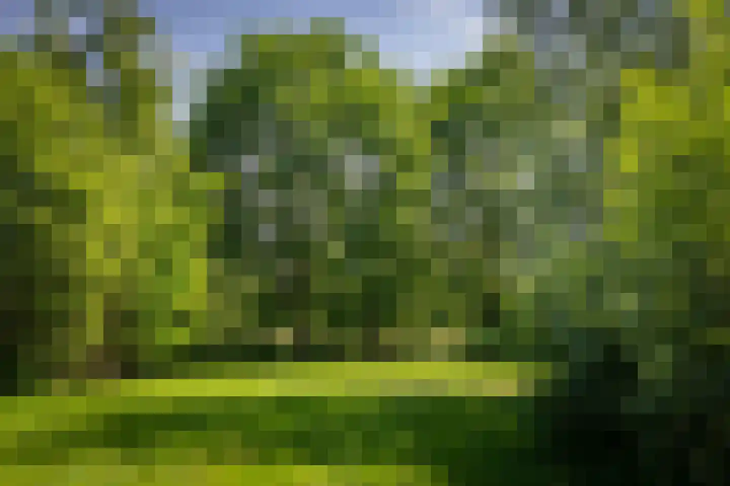 Marsdijk 4 Hellendoorn thumbnail 38