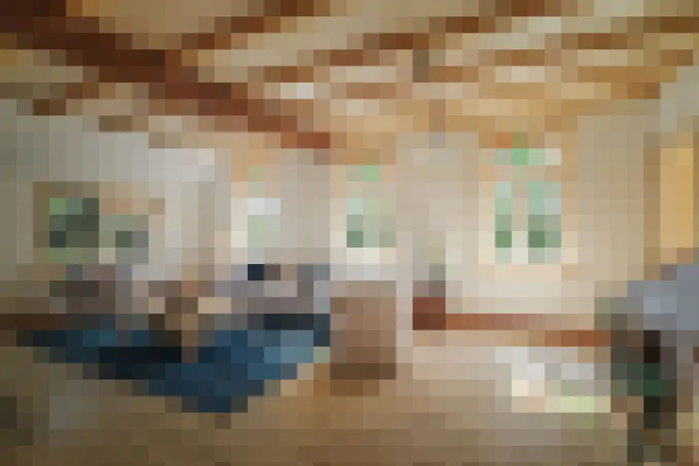 Marsdijk 4 Hellendoorn thumbnail 5