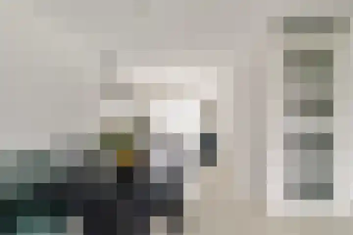 Marseillehaven 8 Purmerend thumbnail 13