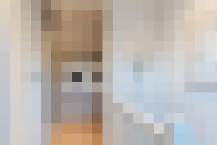 Marselaar 6 Oosterhout thumbnail 32