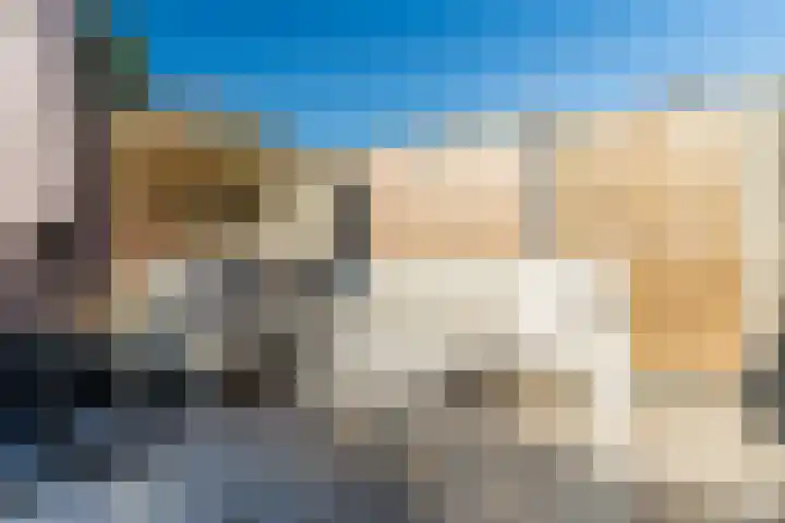 Marselaar 6 Oosterhout thumbnail 40