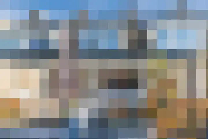 Marselaar 6 Oosterhout thumbnail 6