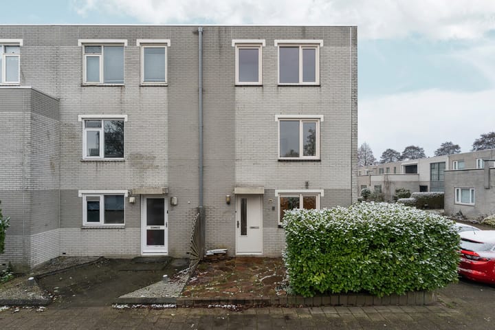 Marsgeel 1 in Zoetermeer foto