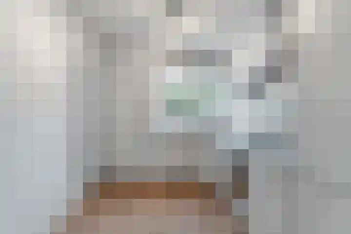 Marsgeel 1 Zoetermeer thumbnail 11