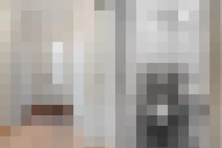 Marsgeel 1 Zoetermeer thumbnail 14