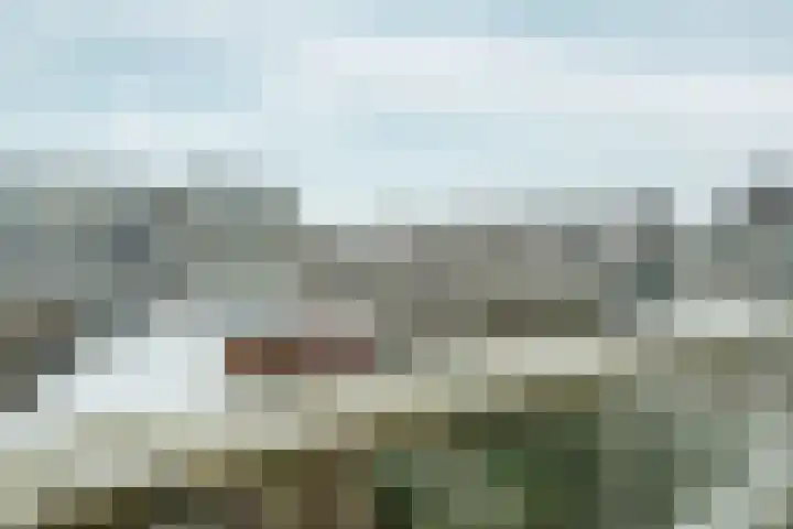 Marsgeel 1 Zoetermeer thumbnail 19
