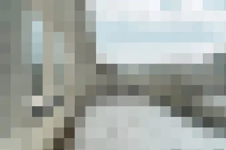 Marsgeel 1 Zoetermeer thumbnail 20