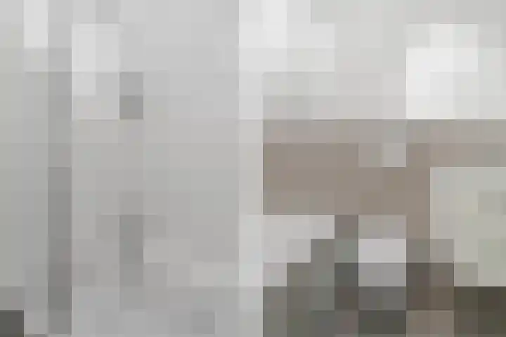 Marsgeel 1 Zoetermeer thumbnail 23