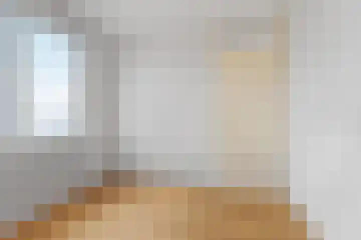 Marsgeel 1 Zoetermeer thumbnail 28