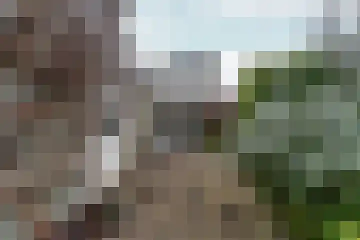 Marsgeel 1 Zoetermeer thumbnail 34