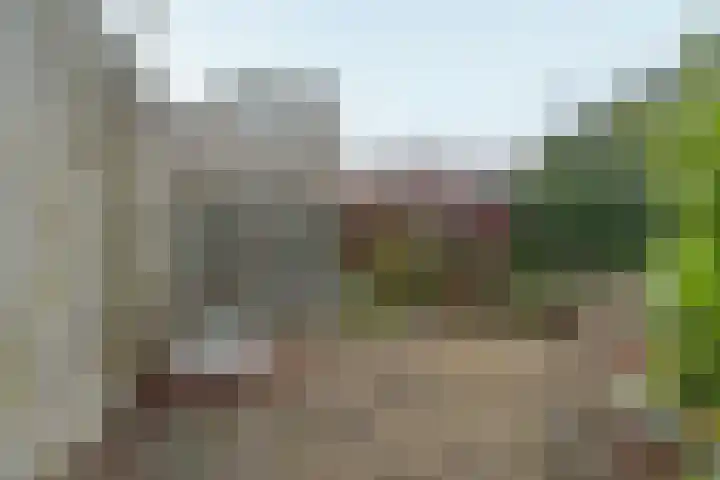 Marsgeel 1 Zoetermeer thumbnail 35