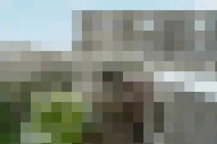 Marsgeel 1 Zoetermeer thumbnail 36
