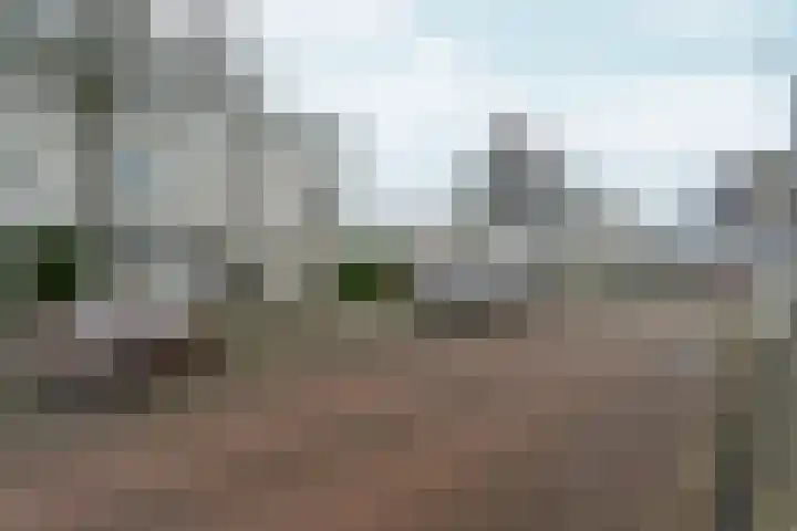 Marsgeel 1 Zoetermeer thumbnail 38