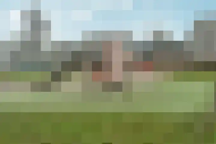 Marsgeel 1 Zoetermeer thumbnail 39