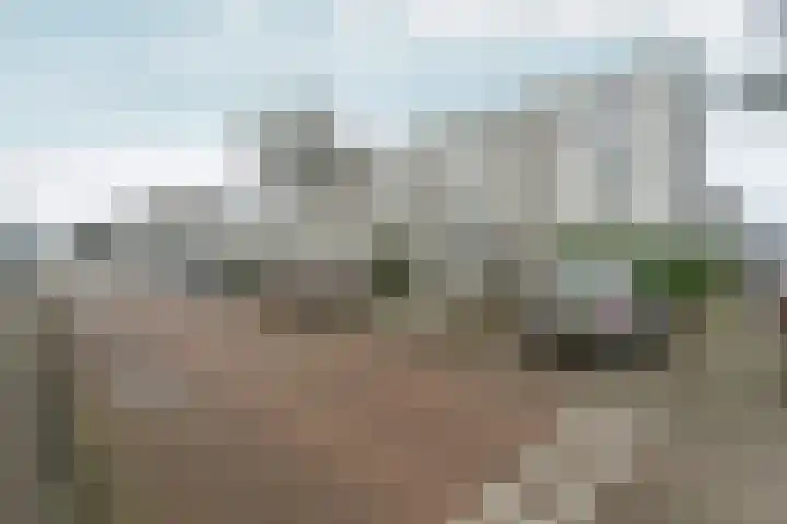 Marsgeel 1 Zoetermeer thumbnail 4