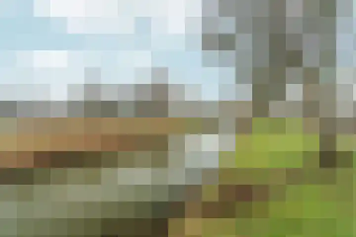 Marsgeel 1 Zoetermeer thumbnail 41