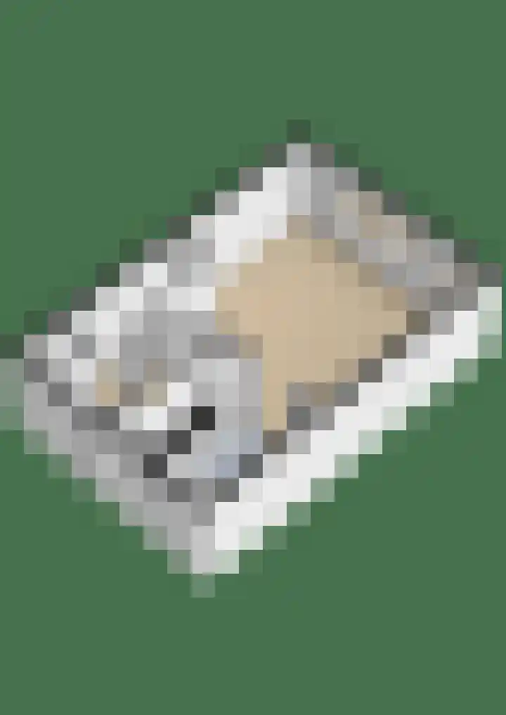 Marsgeel 1 Zoetermeer thumbnail 43