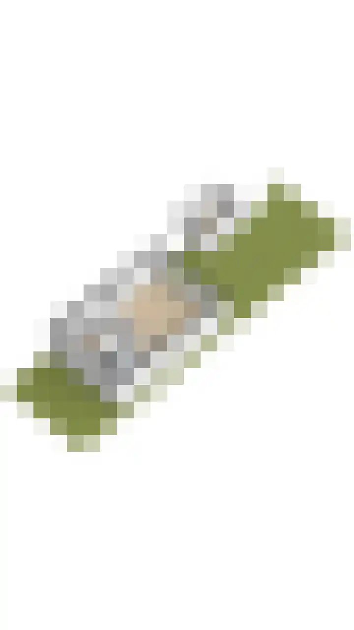Marsgeel 1 Zoetermeer thumbnail 49