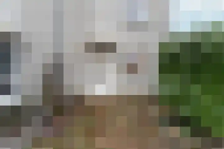 Marsgeel 1 Zoetermeer thumbnail 5