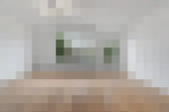 Marsgeel 1 Zoetermeer thumbnail 7