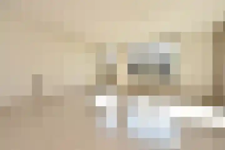Marsgeel 31 Zoetermeer thumbnail 12