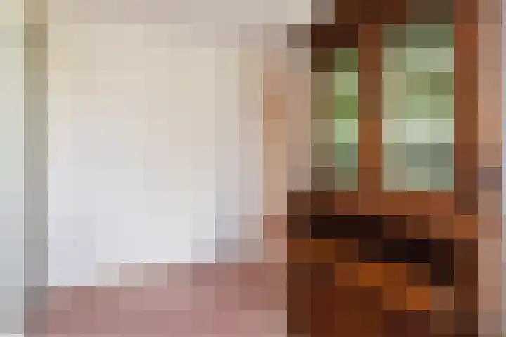 Marsgeel 31 Zoetermeer thumbnail 20