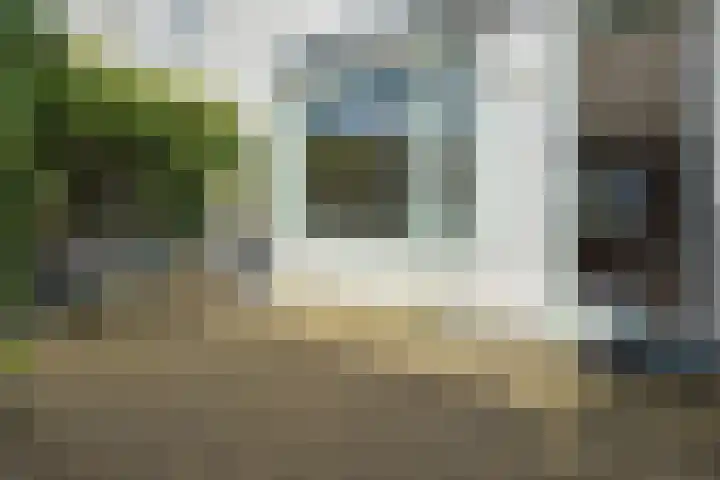 Marsgeel 31 Zoetermeer thumbnail 24