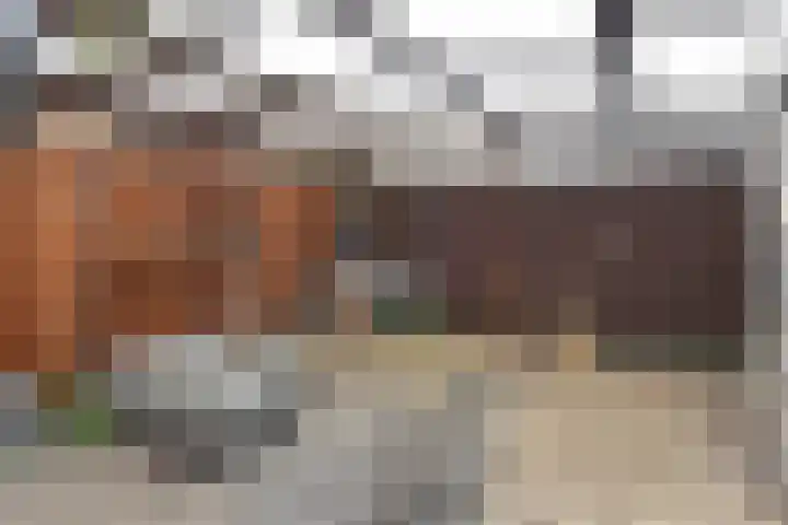 Marsgeel 31 Zoetermeer thumbnail 25