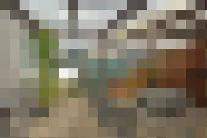 Marsgeel 31 Zoetermeer thumbnail 26