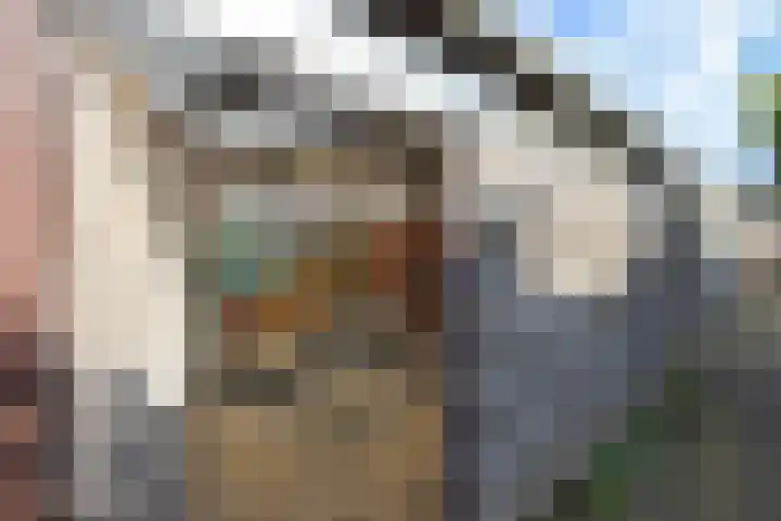 Marsgeel 31 Zoetermeer thumbnail 27