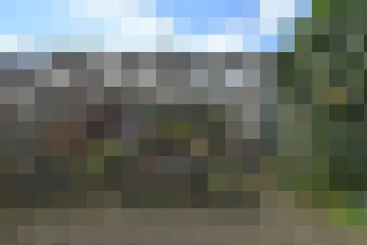 Marsgeel 31 Zoetermeer thumbnail 28