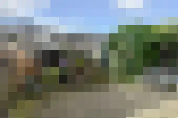 Marsgeel 31 Zoetermeer thumbnail 29