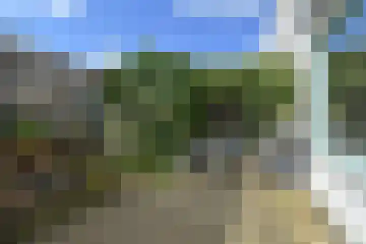 Marsgeel 31 Zoetermeer thumbnail 30