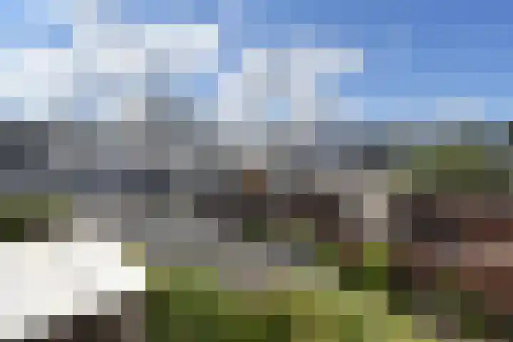 Marsgeel 31 Zoetermeer thumbnail 33