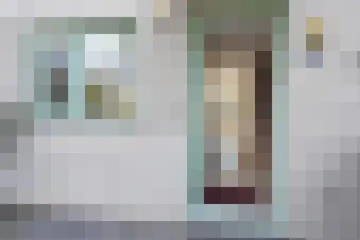Marsgeel 31 Zoetermeer thumbnail 36
