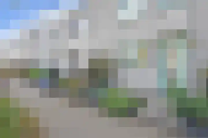 Marsgeel 31 Zoetermeer thumbnail 37