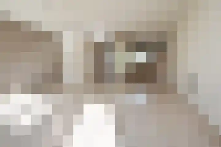 Marsgeel 31 Zoetermeer thumbnail 5