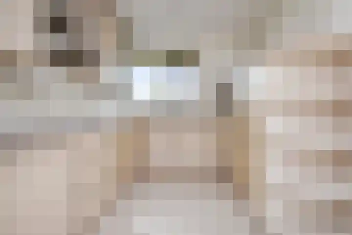 Marsgeel 31 Zoetermeer thumbnail 7