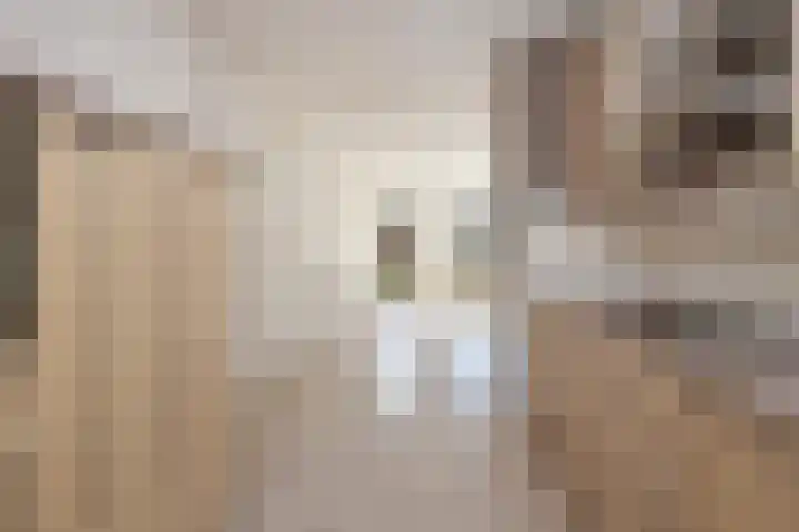 Marsgeel 31 Zoetermeer thumbnail 9