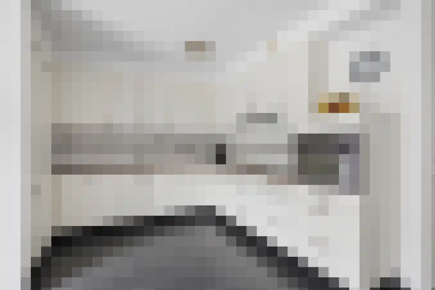 Marshalldreef 12 Ede thumbnail 14