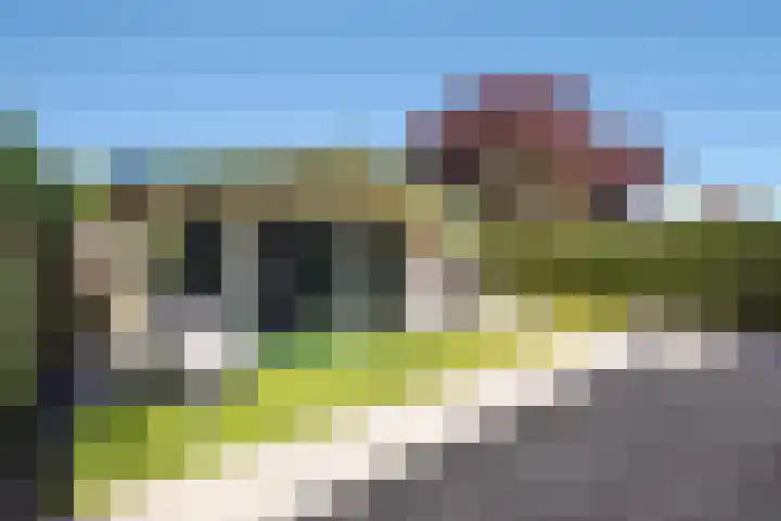 Marshalllaan 1 Hellevoetsluis thumbnail 33