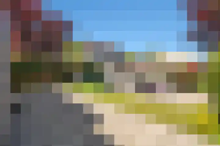 Marshalllaan 1 Hellevoetsluis thumbnail 5
