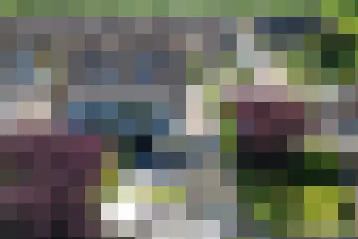 Marshalllaan 1 Hellevoetsluis thumbnail 6