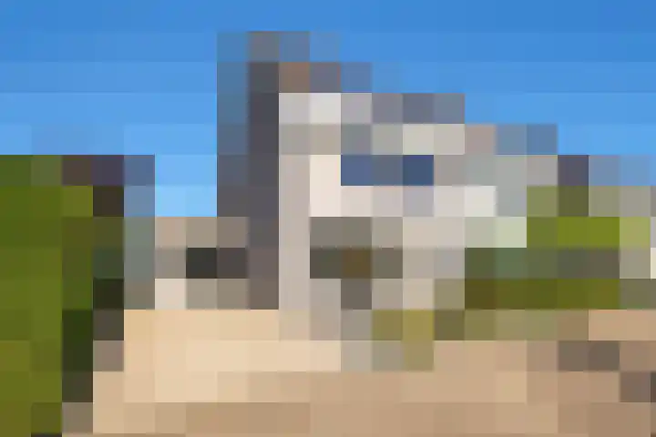 Marshalllaan 1 Hellevoetsluis thumbnail 7