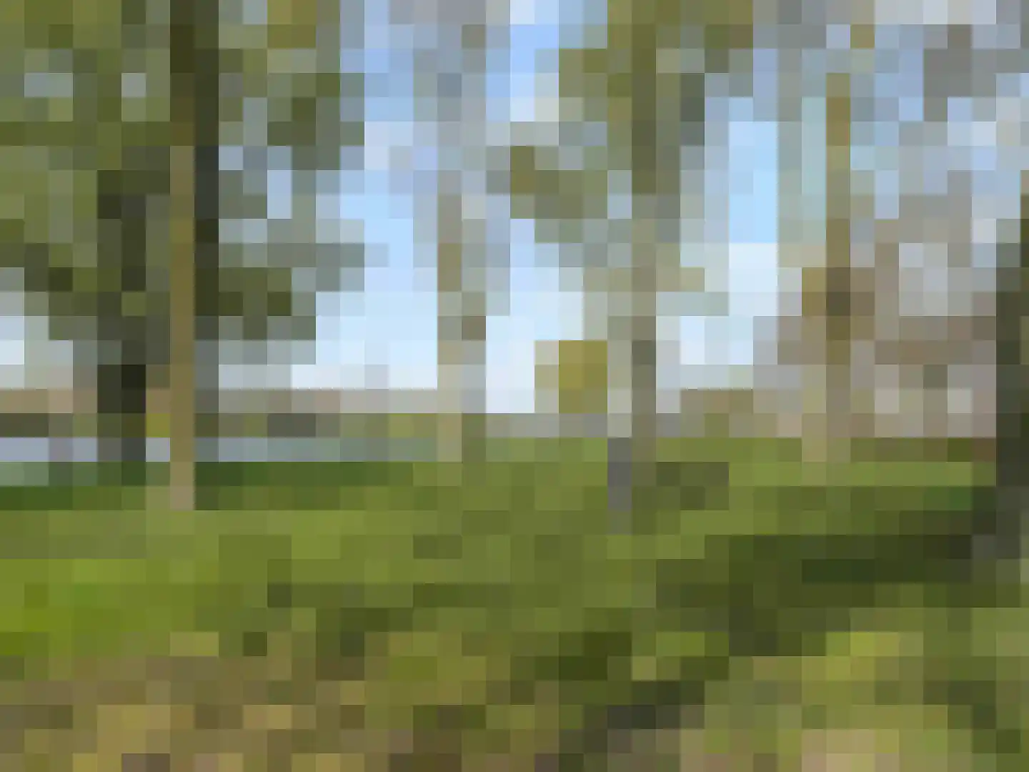 Marshalllaan 139 E Utrecht thumbnail 26