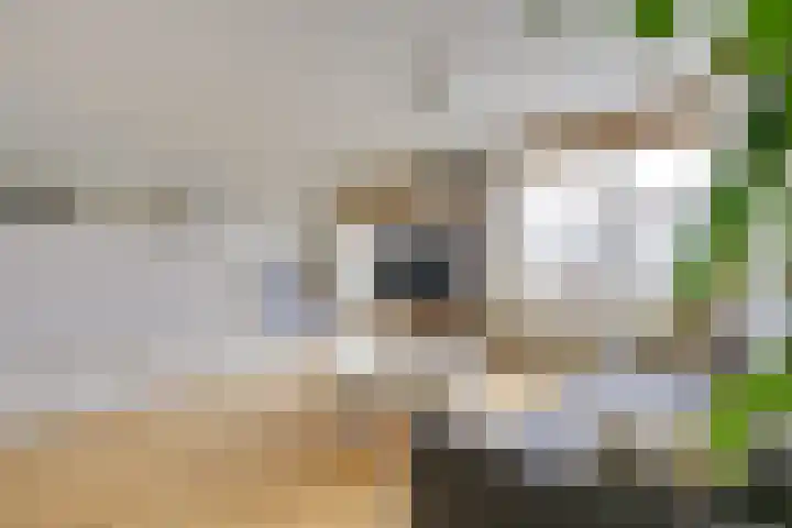 Marshalllaan 139 K Utrecht thumbnail 19