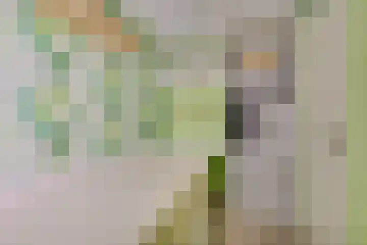 Marshalllaan 139 K Utrecht thumbnail 30