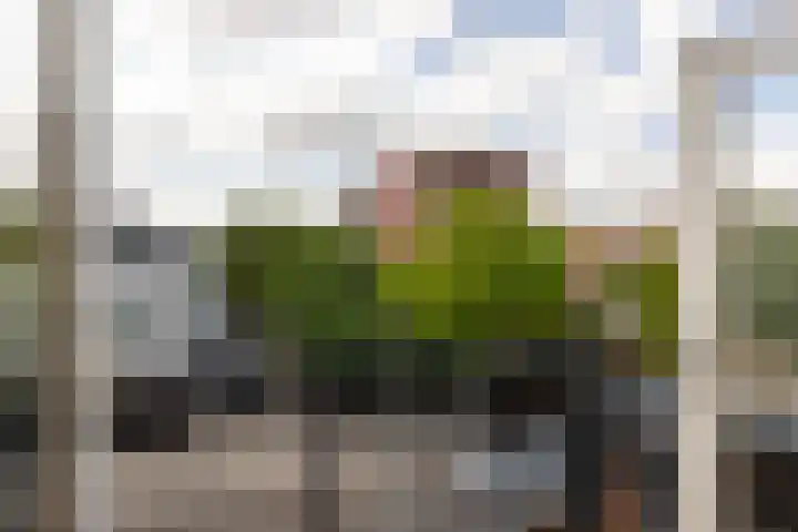 Marshalllaan 141 K Utrecht thumbnail 21